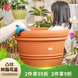 爱丽思花盆树脂塑料多肉花盆防陶瓷种花种树凸纹爱丽丝 6号米白2个装