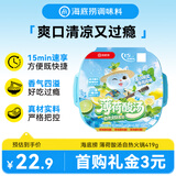 海底捞自热火锅 方便速食免煮出游野餐零食薄荷酸汤419g