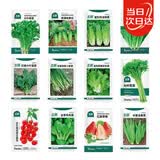 北蔬各种蔬菜种子秋黄瓜菠菜小白菜香菜小葱阳台四季菜籽12种蔬菜种子