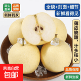 【正宗河北皇冠梨】薄皮新鲜脆甜非雪花梨香梨秋月梨一整箱 河北皇冠梨2斤装（净重1.6斤）【实惠中果】