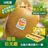 佳沛（zespri）新西兰阳光金奇异果原箱 16粒巨无霸 单果约204-233g   水果礼盒