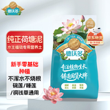 德沃多荷塘泥2.6kg园艺种植基质水生植物营养土碗莲睡莲专用土