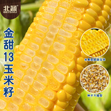 北蔬水果甜玉米种子苗早熟生吃四季菜籽 金甜13玉米种子30g约180粒