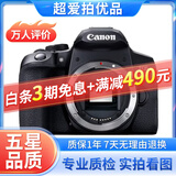 佳能/Canon 500D 600D 700D 800D 850D学生入门拍照摄像高清旅游 二手单反相机 99新 佳能850D 单机身 标配