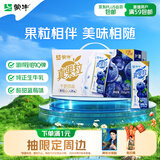 蒙牛真果粒蓝莓味牛奶饮品250g*12盒 礼盒新老包装 含乳饮料送礼礼盒