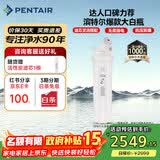 滨特尔（pentair）大白瓶前置过滤器 全屋家用自来水过滤器 前置净水器大蓝瓶 中央净水机大流量大胖瓶高精度 【20寸大白瓶】包安装