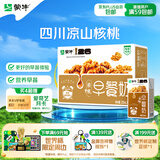 蒙牛早餐奶核桃味250ml*16盒 老人小孩营养补充送礼礼盒