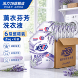 活力28洗衣液2kg 衣物去渍去污持久留香型 袋装补充装家庭装 整箱批发 【原箱24斤】洗衣液2kg*6袋