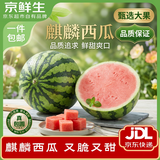 京鲜生 无籽麒麟西瓜 9-11斤 生鲜水果 源头直发
