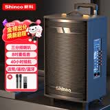 新科（Shinco）T30 广场舞音响户外拉杆音箱大功率家用K歌无线蓝牙大音量扩音器便携式低音炮 8吋双咪