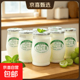 圣祥【老北京酸奶北京特产】酸牛奶儿童记忆美食乳品 木糖醇170g*12杯