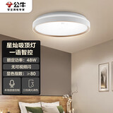 公牛（BULL）吸顶灯星灿智能语音卧室灯客厅灯MX-B048045A-MS