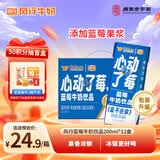 风行 蓝莓风味牛奶饮品 200ml*12盒 牛奶礼盒装 送礼佳品