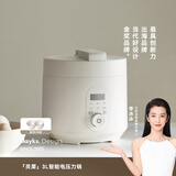 olayks立时 电压力锅 高压锅 家用多功能高压电饭锅快煮智能预约小型 3升适用3-5人双胆 YBW3001B