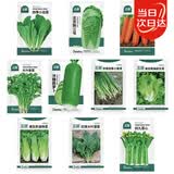 北蔬萝卜白菜种子香菜菠菜胡萝卜生菜夏秋种 10种秋冬季蔬菜种子套餐