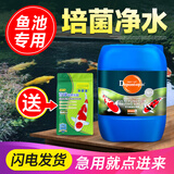 大禹德邦锦鲤鱼池综合水质调理剂鱼池除藻除青苔剂硝化菌净化稳定水质剂 硝化菌 桶装5L