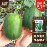 北蔬 苹果丝瓜种子种苗菜瓜籽阳台盆栽种植 苹果丝瓜种子8粒