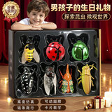 尚美贝贝儿童上链发条玩具昆虫动物仿真爬行抬头训练玩具3-6岁生日礼物