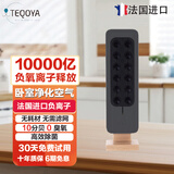 得康氧 进口得康氧teqair200除菌无耗材空气净化器 【法国大使馆推荐】负离子发生器负氧离子机除甲醛 办公室可用（黑色）