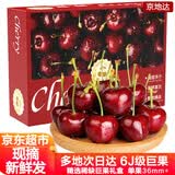 京地达山东美早大樱桃6J级甄选巨果净重2.8斤 单果36mm+ 水果源头直发