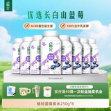 伊利畅轻低温酸奶 生牛乳 蓝莓紫米爆珠250g*8瓶酸牛奶 源头直发包邮