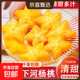 精选福建杨桃生鲜水果清甜健康老树现摘严格筛选整箱发货 老树杨桃2斤装【清甜多汁 值得一试】