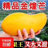 正宗金煌芒特大海南水仙芒果新鲜时令水果超甜京东包邮产地直发 【大果9斤净重8.5斤】单果300克+｜核薄肉厚