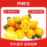 京鲜生山东黄金蜜千禧小番茄净重1.8斤阳光水果黄色小番茄蔬菜源头直发