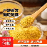 产地直发黄小米油小米月子米新小米五谷杂粮粗粮小米熬粥煲汤祛火 100g 【优质黄小米颗粒饱满】