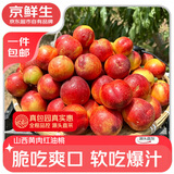 京鲜生山西黄肉红油桃 净重4.5斤统货不分级 包园下树 源头直发