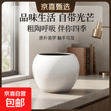 绿植花卉粗陶透气陶罐多肉植物老桩特价清仓大口径三角梅陶瓷花盆 蛋壳款-磨砂白