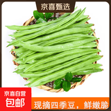 农家四季豆新鲜现摘云南长扁豆角农家应当季蔬菜芸豆现摘菜豆 新鲜四季豆4斤带箱
