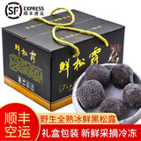 海篁山云南黑松露新鲜速冻 野生成熟冰鲜黑松露鲜菌菇年货团购送礼盒装 冰鲜黑松露5-7CM【500g礼盒装】