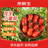 京鲜生内蒙古草原红禧花生小番茄净重3斤单果5g+新鲜采摘圣女果源头直发