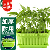 寿禾 种菜盆阳台家庭蔬菜种植方形盆 长形蔬菜种植盆(绿色)组合装2个
