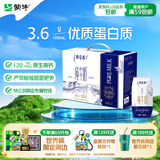 蒙牛特仑苏纯牛奶全脂灭菌乳利乐钻200mL*10盒 早餐奶
