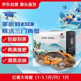 【活蟹】掌昕鲜三门青蟹 红膏大母蟹（1-1.1斤/只）1只 生鲜活螃蟹海鲜礼盒 源头直发