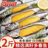 多春鱼满籽新鲜人吃籽鱼冷冻海鲜水产鲜活超特大海鱼烧烤食材商用 满籽多春鱼2斤 【只只满籽】