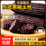 东北头茬新黑糯玉米真空包装即食健康早餐低脂减脂代餐新鲜现摘 黑玉米10支 200克起