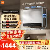 米家小米60升家用智能双胆电热水器2 超薄大水量3200W速热 免换镁棒储水式扁桶 国家补贴以旧换新MJ05