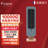 得康氧 进口得康氧teqair200除菌无耗材空气净化器 【法国大使馆推荐】负离子发生器负氧离子机除甲醛 办公室可用（蓝色）