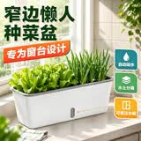 芷郁阳台种菜盆长方窄形花盆水位可视长条懒人蔬菜种植专用箱窗台草莓
