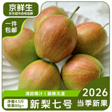 京鲜生新梨七号净重4.5斤单果80g+ 2026当季新梨 新鲜水果 源头直发包邮