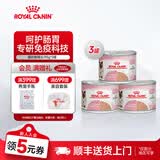 皇家（ROYAL CANIN）猫粮慕斯猫罐头湿粮奶糕幼猫粮全价粮 猫咪主食级罐头BMC 【585g 猫奶糕罐头】195g*3罐