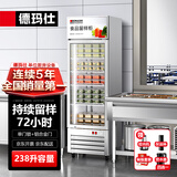 德玛仕（DEMASHI）食品留样柜 学校幼儿园公司食堂用 水果蔬菜留样保鲜冷藏展示柜LG-260Z（带锁）【京东仓速发】