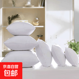 沙发抱枕芯靠枕芯十字绣靠垫芯子靠背方枕芯靠垫靠背抱枕靠垫 白色无边 含枕芯 60*60cm[850g]