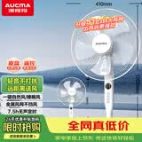 澳柯玛加大金属风网遥控落地扇/电风扇/家用办公室风扇/台扇/静电子定时轻音空气循环台式小风扇905(Y)