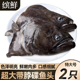 缤鲜碟鱼段冷冻鲽鱼头超大鸦片鱼深海新鲜比目鱼鲜切格陵兰碟鱼身整条 大号碟鱼头2只【100-200g/只】