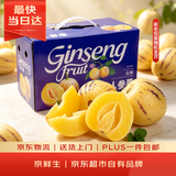 京鲜生 云南人参果 净重2斤装 单果50g起 生鲜水果 