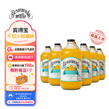 宾得宝（Bundaberg）新品含气不知火柑橘饮料375ml*6玻璃瓶装 澳洲出游丑橘果汁气泡水